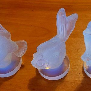 3 Sabino Opaline Fish